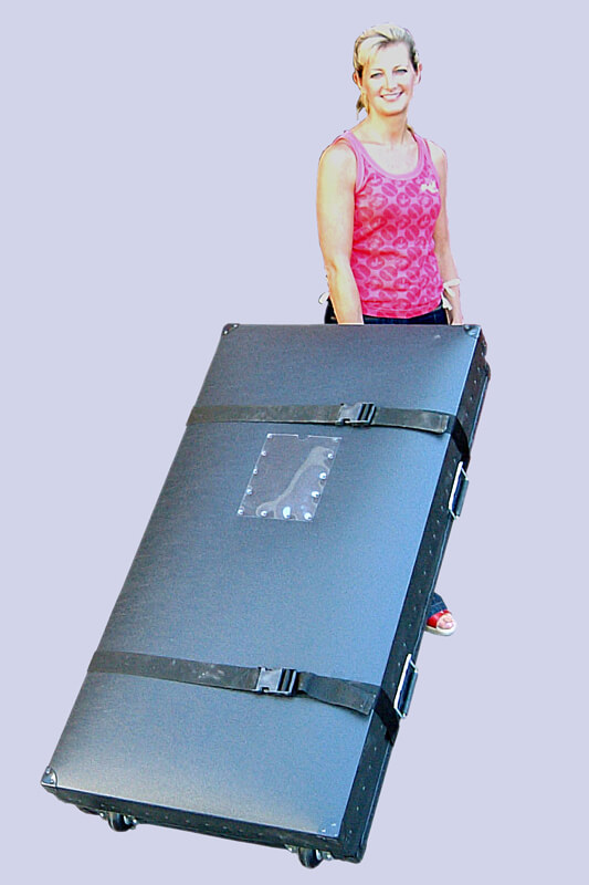 Lisa with pull along poly case.jpg
